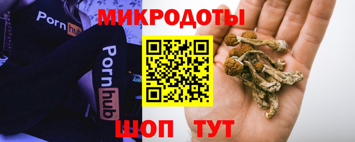 Галлюциногенные грибы Magic Shrooms  Вход с VPN  Грязи 